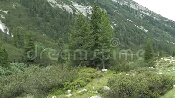 奥地利蒂罗尔州施莱吉斯山谷高山景观瀑布视频的预览图