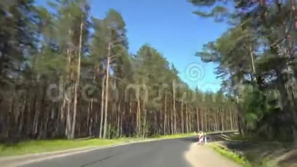 在森林道路上快速行驶视频的预览图