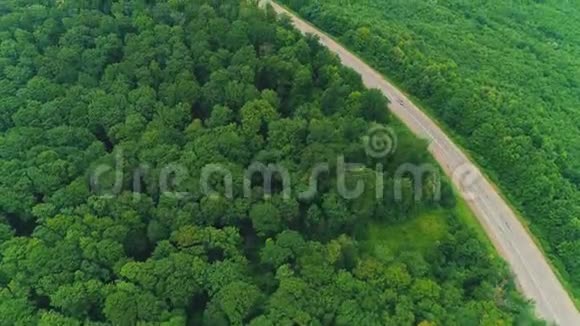 空中飞行在汽车上沿着森林环绕的道路行驶4K视频的预览图