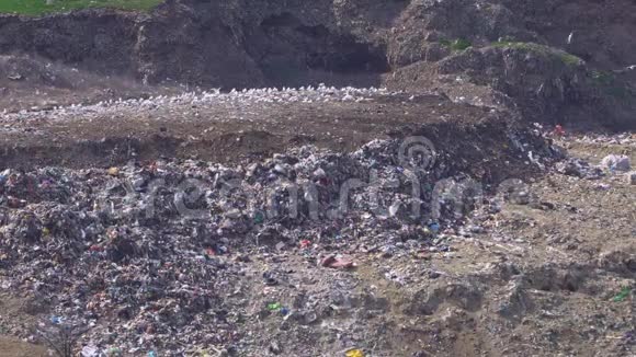 一辆卡车在墓地附近的一个大垃圾场里卸下垃圾那里有许多鸟在飞视频的预览图