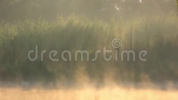 雾在湖面上流动早晨背景上有令人惊叹的光视频的预览图