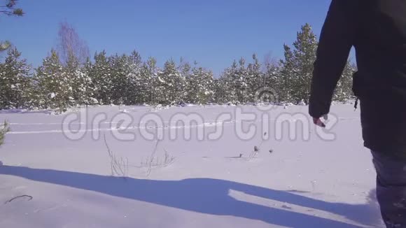 一个年轻人正在冬日的森林里散步视频的预览图