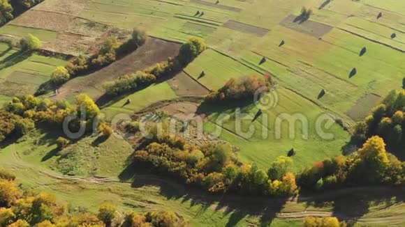 飞越喀尔巴阡山一片美丽的田野干草收获视频的预览图