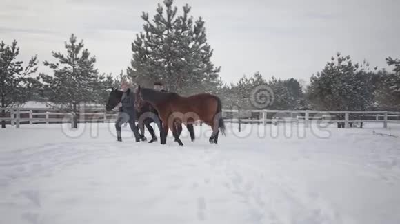 男人和女人牵着两匹棕色的马在雪冬牧场说话快乐积极的一对夫妇花时间在户外视频的预览图