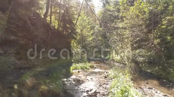 夏天在多叶树和石头之间可以看到水晶般的流动视频的预览图