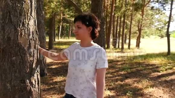 一个年轻的女人穿过一片松林触摸一棵树旋转摄像机周围旅游和娱乐视频的预览图