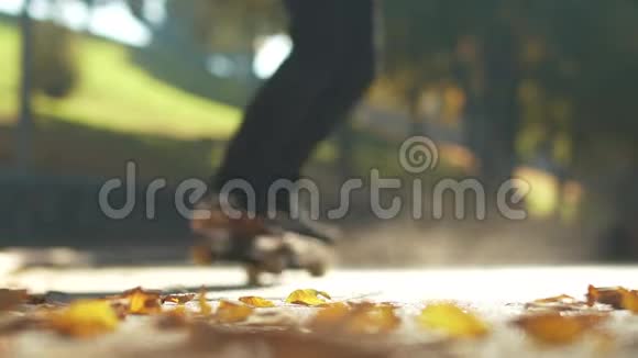 独自玩滑板的人在户外的落叶上骑滑板关注前景慢动作视频的预览图