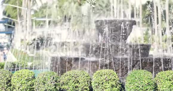 花园里的喷泉视频的预览图