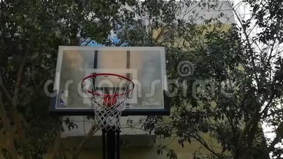 篮球结构在室外后院的操场上环绕着树木视频的预览图