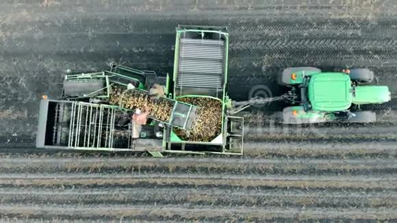 农业机械鸟瞰图在拖拉机拖车上用土豆工作的人视频的预览图