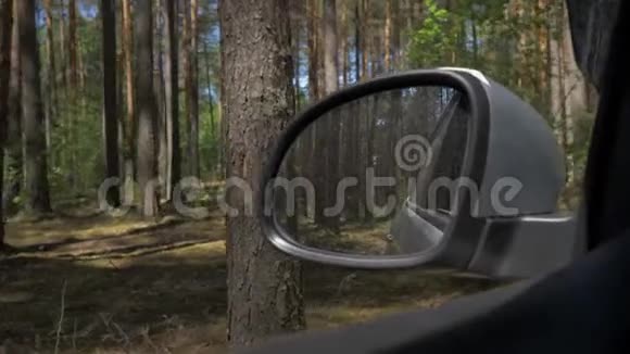 从车窗上看到阳光照耀着树木从侧面镜子的车窗上看到视频的预览图