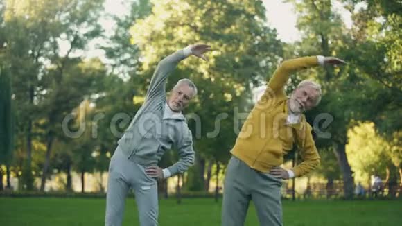 两名退休老人在公园做早操健身活动健康视频的预览图