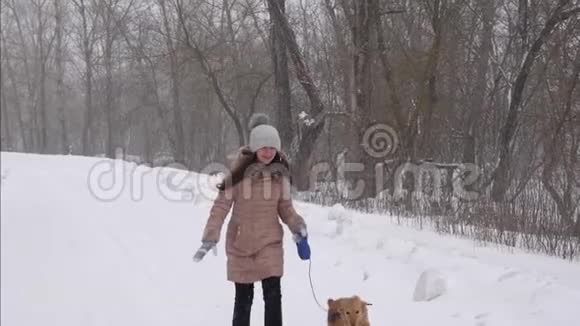 带着狗玩耍的快乐女孩在暴风雪中奔跑和大笑慢动作视频的预览图