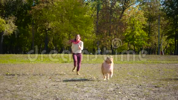 秋天公园的女孩和牧羊犬跑步视频的预览图