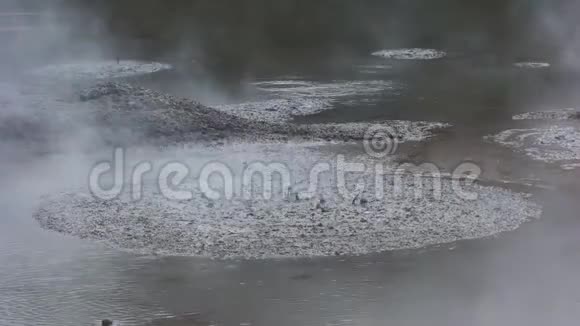 Rotoruanz的沸腾泥浆池视频的预览图