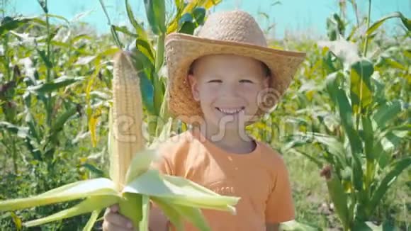 一个男孩戴着草帽穿着橙色T恤手里拿着一块玉米的画像视频的预览图
