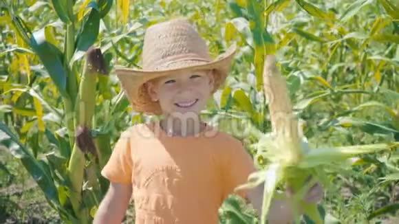 一个男孩戴着草帽穿着橙色T恤手里拿着一块玉米的画像视频的预览图