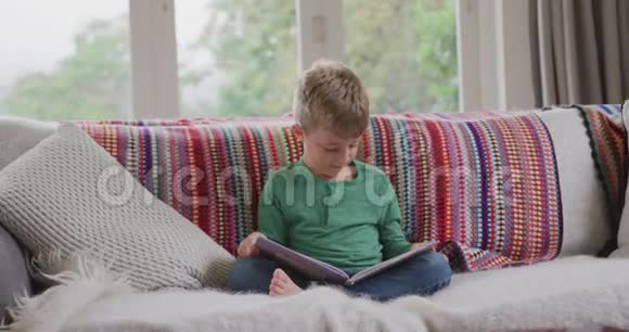 男孩在家客厅读故事书视频的预览图