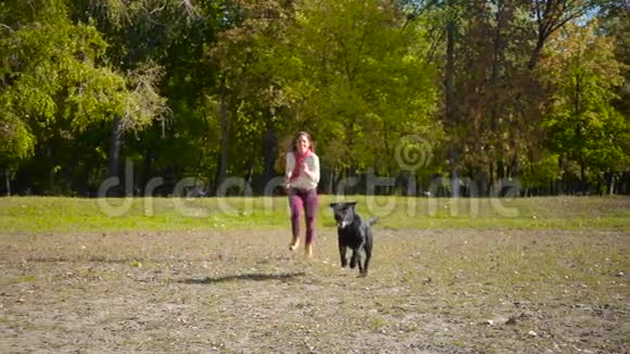 秋天公园的女孩和黑拉布拉多狗跑视频的预览图
