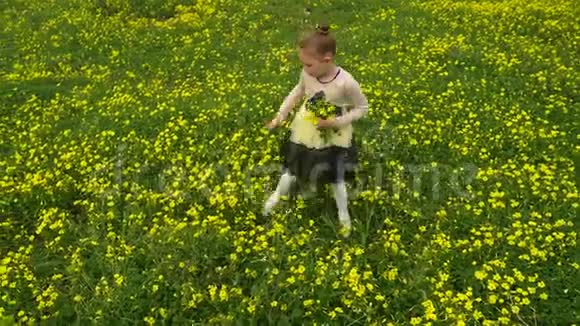 一个漂亮的女孩带着一只小狗在黄色的田野采花视频的预览图