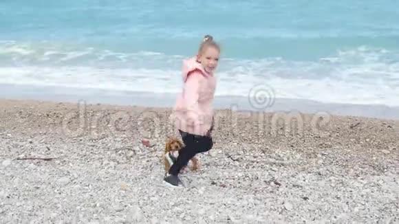 小女孩在海边和小狗玩耍视频的预览图