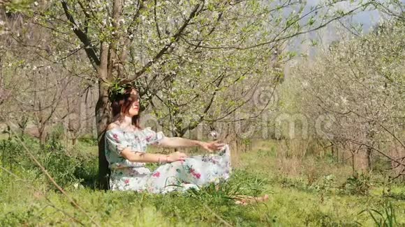 一位年轻的美女身穿长裙坐在盛开的梅树下视频的预览图