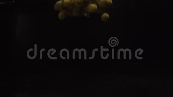 青落在水里水下拍摄绿豌豆食物录像视频的预览图