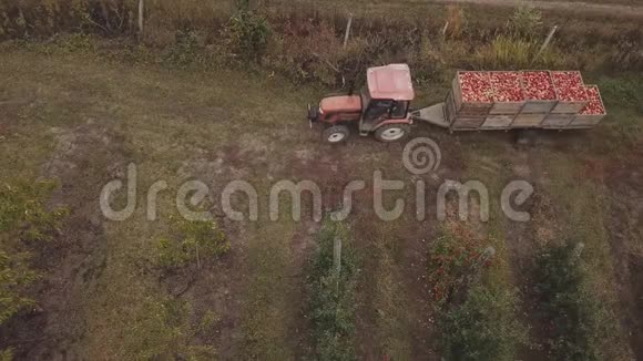 一辆拖车载着苹果的拖拉机视频的预览图