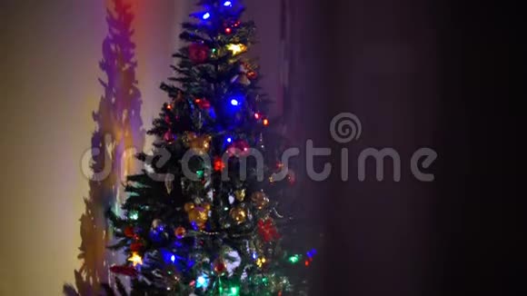 傍晚的时候有一棵闪亮的圣诞树视频的预览图