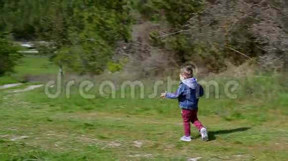一个小男孩跑过田野走进森林视频的预览图
