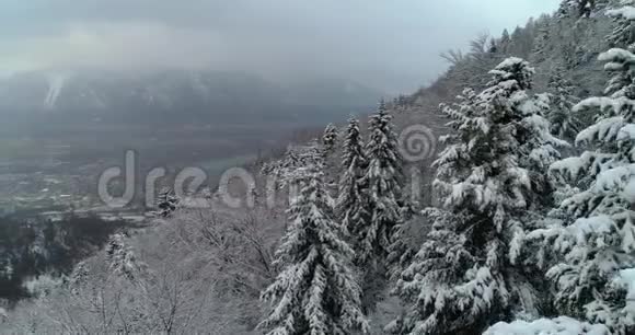 森林的鸟瞰天空中有雪背景是湖视频的预览图