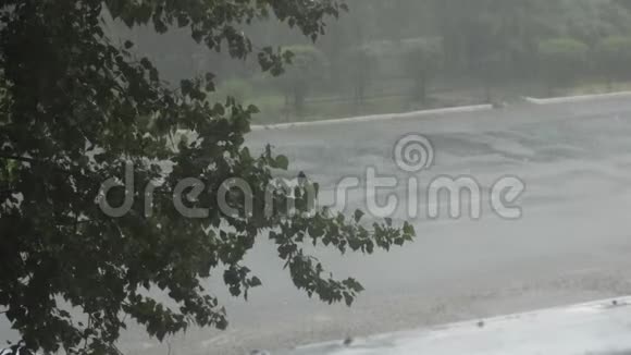 夏天大雨倾盆在城市里在一棵绿色的大树和汽车的框架里高速喷洒汽车通过水坑视频的预览图