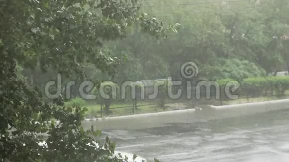 夏天大雨倾盆在城市里在一棵绿色的大树和汽车的框架里高速喷洒汽车通过水坑视频的预览图