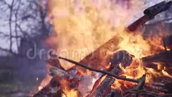 燃烧着树枝花园里的大篝火视频的预览图