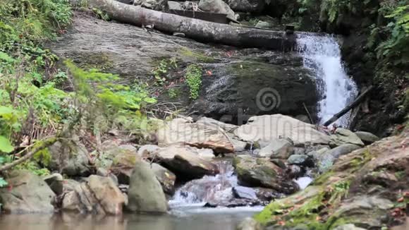 一条小山河上的瀑布视频的预览图