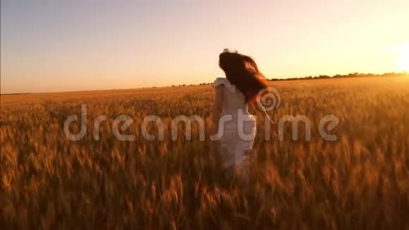 快乐的女孩跑过黄麦田美丽的晚霞照亮了一片麦田慢动作视频的预览图
