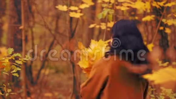 秋天公园里一个年轻的微笑着的黑发手里拿着枫叶在旋转视频的预览图