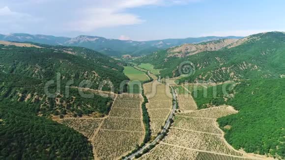 美丽的景色从上面的农场周围是高山覆盖着绿色的树木和灌木在夏天视频的预览图