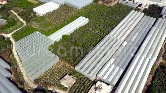 顶部的温室有种植粮食植物的田地剪辑城市农业为人口提供植物视频的预览图