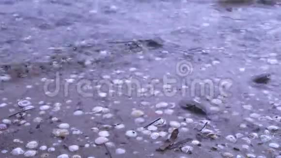 小剪刀掉进海滩上的水里视频的预览图