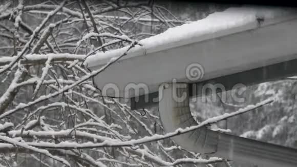 雪落在树旁破旧的房屋排水沟里视频的预览图