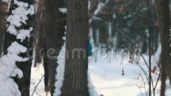 一对年轻的体育夫妻在美丽的阳光下在树林里慢跑冬天视频的预览图