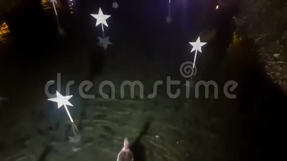 圣诞节装饰的池塘里有鸭子和鹅卵石游泳美丽的风景视频的预览图