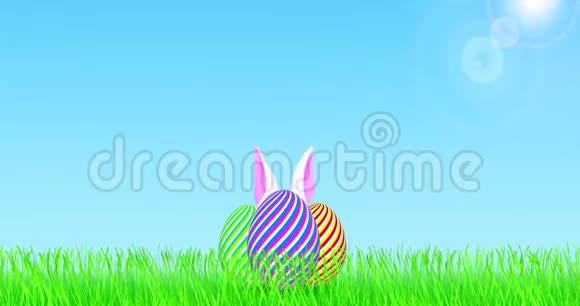 复活节彩蛋在田野上有移动的白色兔子耳朵视频的预览图