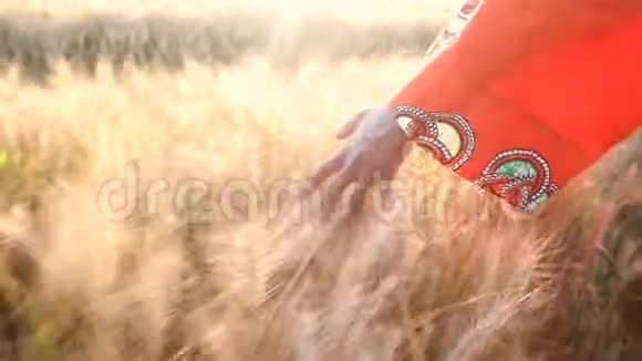 非洲妇女穿着传统服装手牵着手在日落时分摸着非洲农田里的庄稼视频的预览图