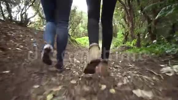 低角度视野跟随两个徒步旅行者在树林里散步视频的预览图
