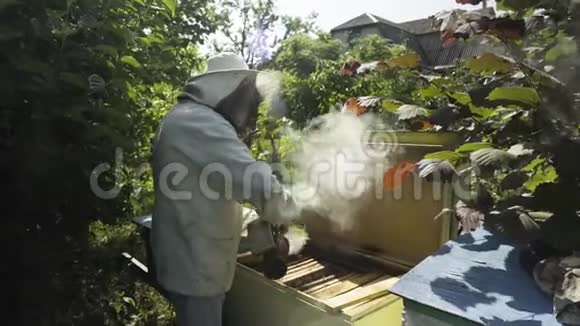 养蜂人与蜜蜂吸烟者一起饲养蜂箱视频的预览图
