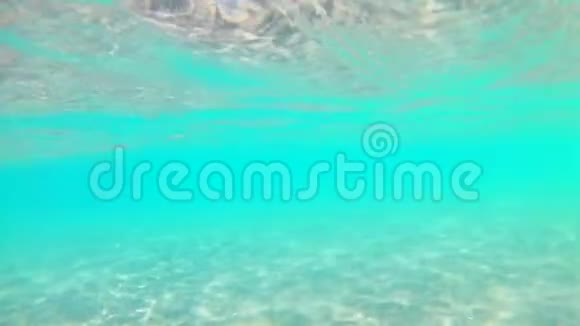 在晴朗的晴天红海沙底靠近沙岸的水下光波慢动作标准动作视频的预览图