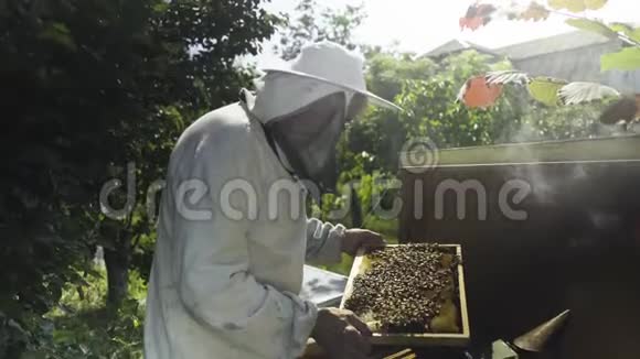 戴防护面罩和帽子的养蜂人用蜜蜂检查蜂窝视频的预览图