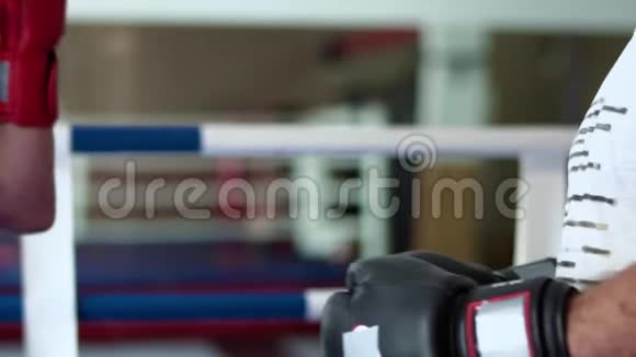 拳击手在镜头前手势视频的预览图